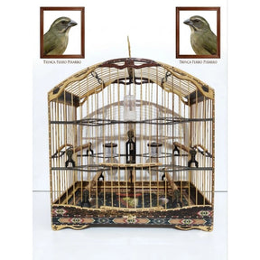 Gaiola De Trinca Ferro/Pixarro 4.5 Fundo Removível!