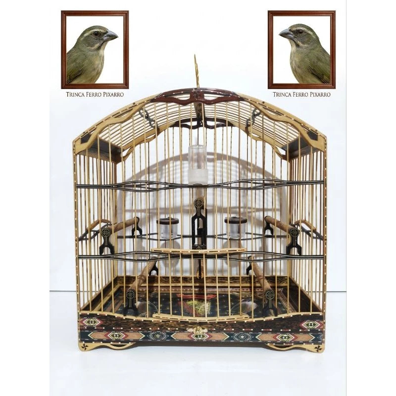 Gaiola De Trinca Ferro/Pixarro 4.5 Fundo Removível!