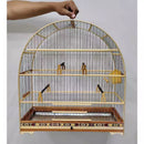 Gaiola Nº5 para Azulão, Bicudo, Curió, Canário, Coleiro Poleiros Cortiça