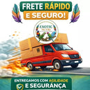 Ração Trinca Ferro Sabiá Long Life Super Premium 220g Extrusada Mamão Nutrição Completa